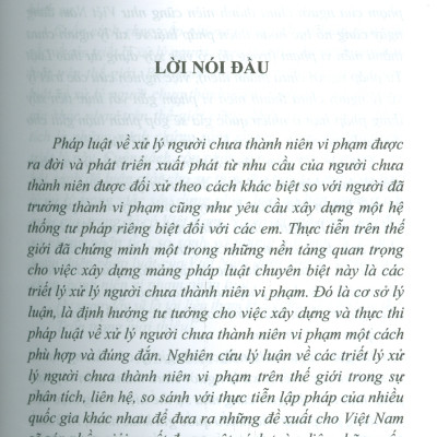 Triết Lý Xử Lý Người Chưa Thành Niên Vi Phạm Và Thực Tiễn Xây Dựng Pháp Luật Trên Thế Giới (Sách chuyên khảo) - TS. Đào Lệ Thu chủ biên