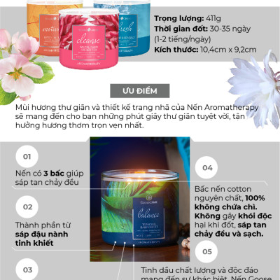 Nến ly 3 bấc Aromatherapy Goose Creek (411g) - Tranquil Rainforest