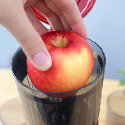 Máy ép chậm SEKA SK535S loại cổ to công suất 250w dung tích 700ml, máy ép trái cây hoa quả kiệt bã hàng nhập khẩu