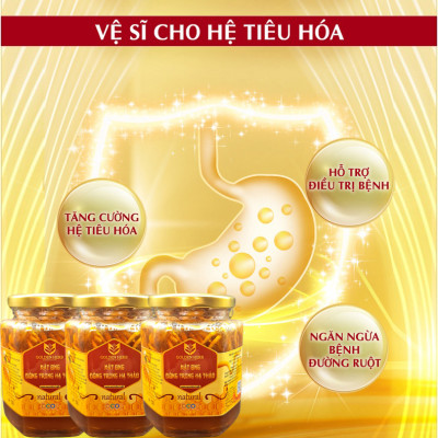 Mật Ong Ngâm Đông Trùng Hạ Thảo 380ml/lọ Golden Herb
