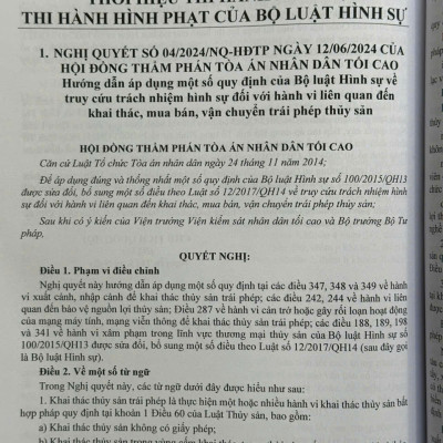 Sách Bộ Luật Hình Sự năm 2015 sửa đổi, bổ sung năm 2017, 2025 và Các Văn Bản Hướng Dẫn Thi Hành (V2593D)