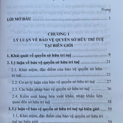 Kiểm Soát Hàng Hoá Giả Mạo Về Sở Hữu Trí Tuệ Tại Biên Giới Của Hải Quan Việt Nam