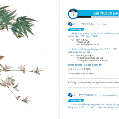 Combo Bài tập củng cố cấu ngữ pháp HSK cấu trúc giao tiếp & luyện viết HSK4-5 và Tuyển tập cấu trúc cố định tiếng Trung ứng dụng