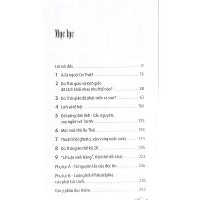 Dẫn Luận Về Do Thái Giáo - Norman Solomon - Vanlangbooks