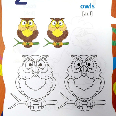 Tiếng Anh Đầu Tiên Của Bé - Chữ Số Hình Dạng (Song Ngữ Anh Việt)