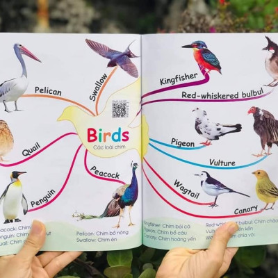 CHINH PHỤC TỪ VỰNG TIẾNG ANH - THEO SƠ ĐỒ TƯ DUY MIND MAP (Dành cho trẻ em từ 1 – 10 tuổi) – TẶNG KÈM FILE ĐỌC TIẾNG ANH GIỌNG CHUẨN BẢN ĐỊA NXB Hà Nội