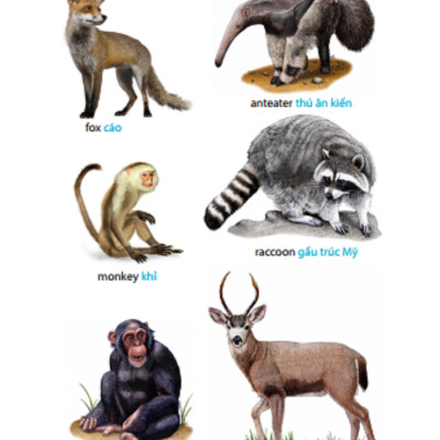 5.500 Từ Vựng Tiếng Anh Thông Dụng Nhất (Tái Bản 2020 - Màu)