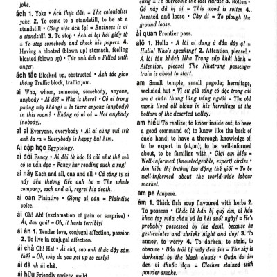 Từ Điển Việt-Anh (Khoảng 290.000 Từ)