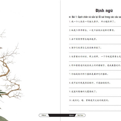 Combo Bài tập củng cố cấu ngữ pháp HSK cấu trúc giao tiếp & luyện viết HSK4-5 và Tuyển tập cấu trúc cố định tiếng Trung ứng dụng