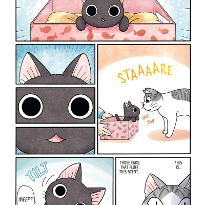 Sue & Tai-chan 1 (Graphic Novels)