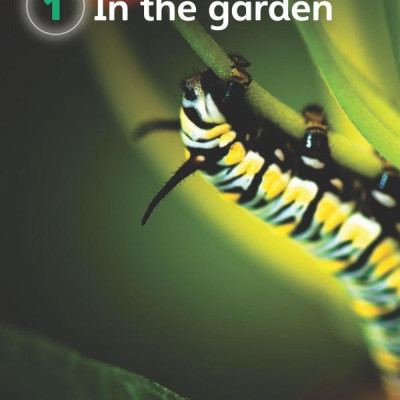 Guess What! Level 3 Pupil