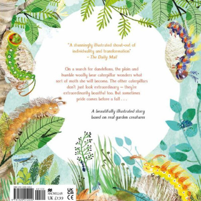 The Woolly Bear Caterpillar