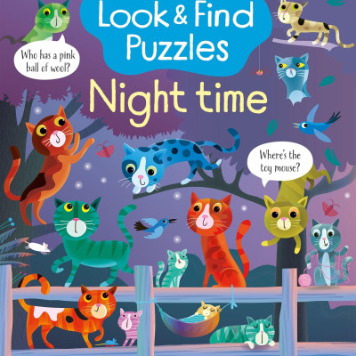 Look And Find Puzzles Night Time