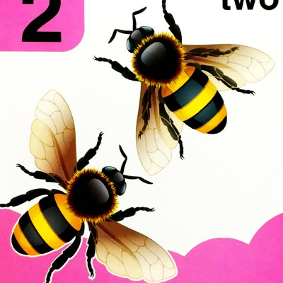 Baby’s Mini Books: 123