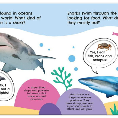 First Facts Sharks (Turn-the-Wheel Books)
