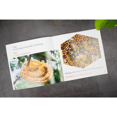 Sách - Khám Phá Thế Giới - Song Ngữ Việt Anh - Cho Trẻ 3 - 9 Tuổi - Combo 10 Cuốn - Đinh Tị Books