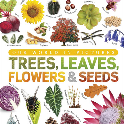 Trees, Leaves, Flowers And Seeds: A Visual Encyclopedia Of The Plant Kingdom