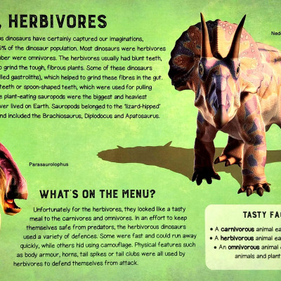 Jigsaw Book: The Life Of Dinosaurs