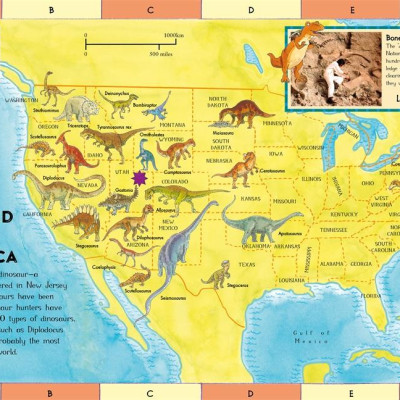 First Dinosaur Picture Atlas