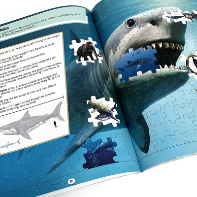 World Of Sharks Sticker Book Treasury