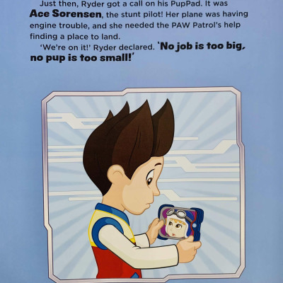 Paw Patrol High Flying Skye - Storybook With Bag Tag