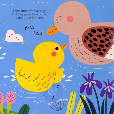 Duck (My Little Green World 6)