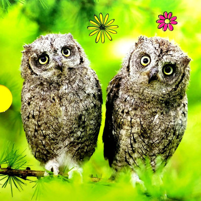 Lovey Dovey - My Best Friend Is