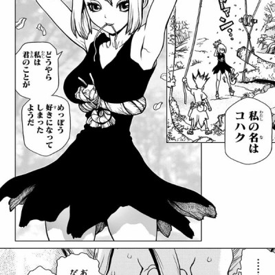 Dr. STONE 3 (ジャンプコミックス)