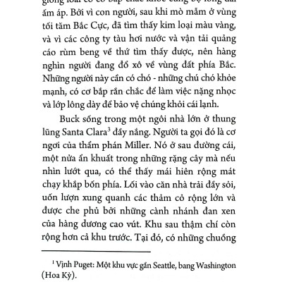 Tiếng Gọi Của Hoang Dã