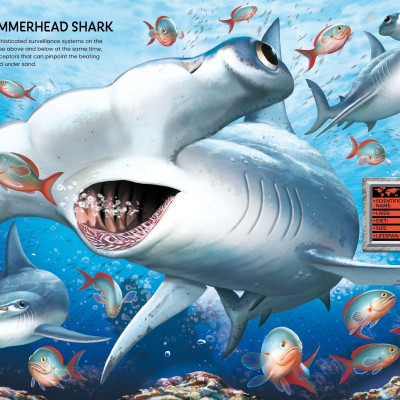 Build Your Own Sea Creatures Sticker Book