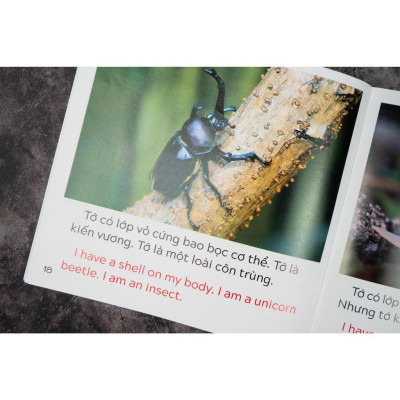 Sách - Khám Phá Thế Giới - Song Ngữ Việt Anh - Cho Trẻ 3 - 9 Tuổi - Combo 10 Cuốn - Đinh Tị Books