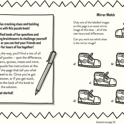 Sách thiếu nhi  tiếng Anh: AMAZING PUZZLES AND QUIZZES FOR EVERY 10 YEAR OLD