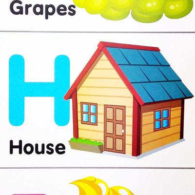 My Mini Giant: Alphabet Upper Case , Lower Case & Numbers