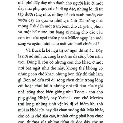 Tiếng Gọi Của Hoang Dã