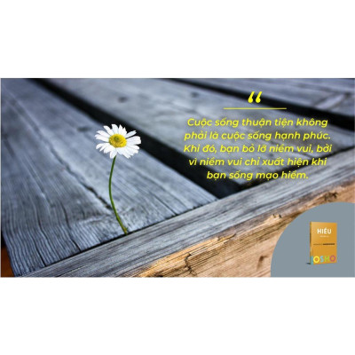 OSHO Hiểu Đường Đến Tự Do - Bản Quyền