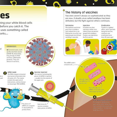 Sách ngoại văn: The Bacteria Book (New Edition)