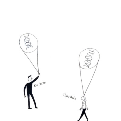 Tâm Trí Thật Phi Lý