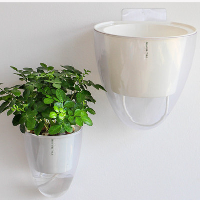 Chậu tự tưới treo tường đáy trong suốt Monrovia, chất liệu nhựa PP,  phù hợp mọi không gian nhà