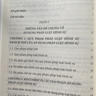 Áp Dụng Pháp Luật Hình Sự Lý Luận Và Thực Tiễn 