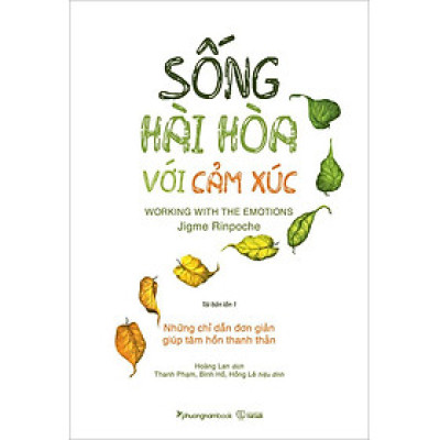 Sách Sống Hài Hòa Với Cảm Xúc (Tái bản năm 2022)
