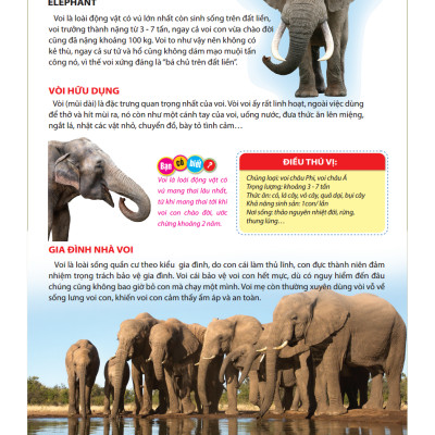 Atlas Động Vật - Vương Quốc Động Vật - Bìa Cứng (Tái Bản 2023)