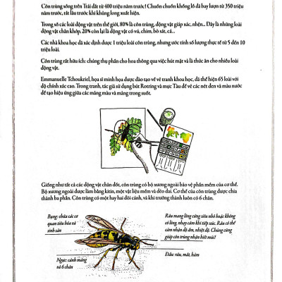 Bách Khoa Thư Cho Cả Nhà - Thế Giới Côn Trùng Bằng Tranh