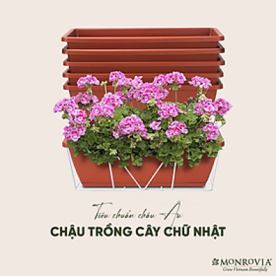 Combo chậu nhựa trồng cây chữ nhật kèm giỏ treo hoa ban công Monrovia, chậu trồng rau, khay trồng rau, trồng hoa