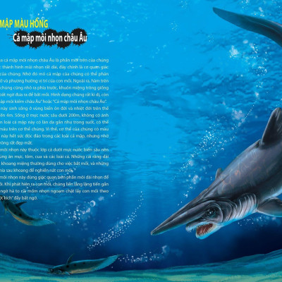 Khám Phá Thế Giới Động Vật Kì Thú: Thế Giới Của Các Loài Vật Kì Quái (Tái Bản 2021)