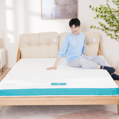 Nệm Foam Nhật Bản cao cấp Aeroflow Standard mềm mại, êm ái, nâng đỡ tối đa, thoáng khí cao - Cảm hứng từ giấc ngủ