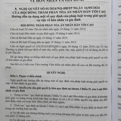 Sách Hướng Dẫn Áp Dụng Pháp Luật Trong Giải Quyết Vụ Việc Về Hôn Nhân Và Gia Đình (V2423D)