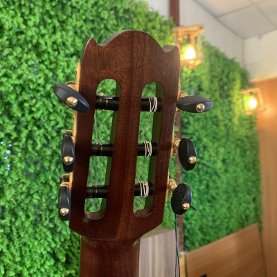 Đàn Guitar Nylon Yamaha NCX3C