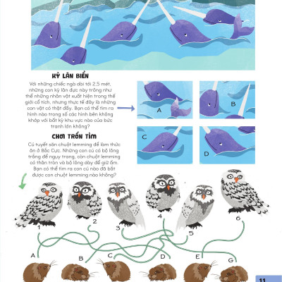 Sách - 70++ Trò Chơi Giúp Em Khám Phá Thế Giới - Thiên Nhiên