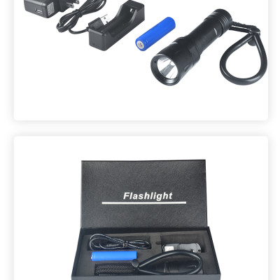 Đèn pin cho thợ lặn TERINO T51 (dùng dưới nước, 30w) - Hàng chính hãng