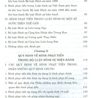 Hình Phạt Tiền Trong Pháp Luật Hình Sự Việt Nam Và Thực Tiễn Áp Dụng (Sách Chuyên Khảo)